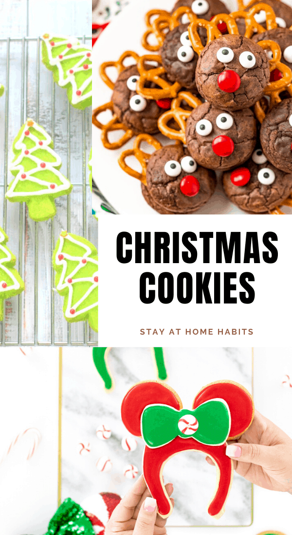 Christmas decorated cookie recipes that have an easy yet creative decoration to it. Kids will love these GingerBread cookies - some are vegan too!