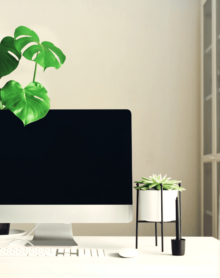neat work space
