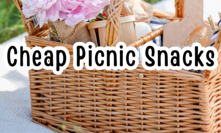 Picnic Snacks that Won’t Hurt your Budget!